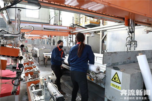 天水市甘谷縣 企業全力以“復” 多措并舉促生產提產能